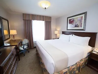 Holiday Inn Hotel & Suites-West Edmonton By Ihg