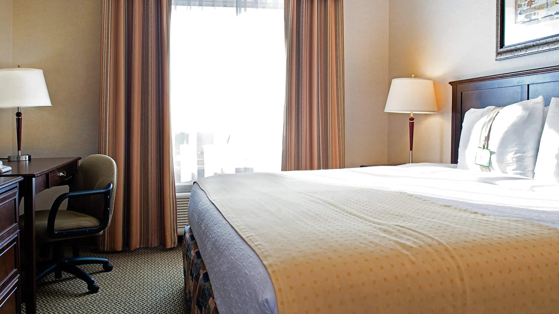 Holiday Inn Hotel & Suites-West Edmonton By Ihg